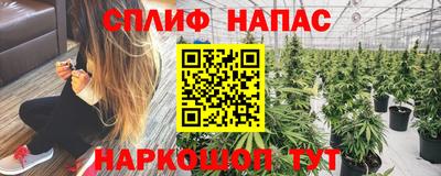герыч Кингисепп