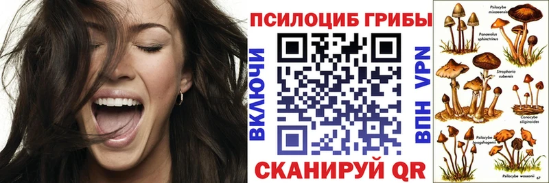 Псилоцибиновые грибы GOLDEN TEACHER  Магнитогорск 