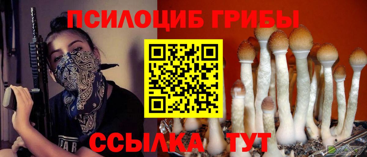 Псилоцибиновые грибы прущие грибы  Псилоцибиновые грибы Magic Shrooms  Магнитогорск  наркошоп  Вход с VPN 
